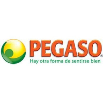 PEGASTRESS 14SOB      PEGASO